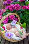 Thierry POTVAIN - THIERRY POTVAIN